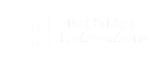 Next Bridge Hydrocarbons Stock Price Prediction 2025